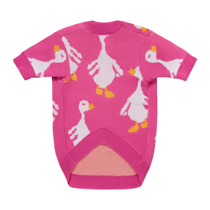 Różowy sweterek dla psa w gęsi