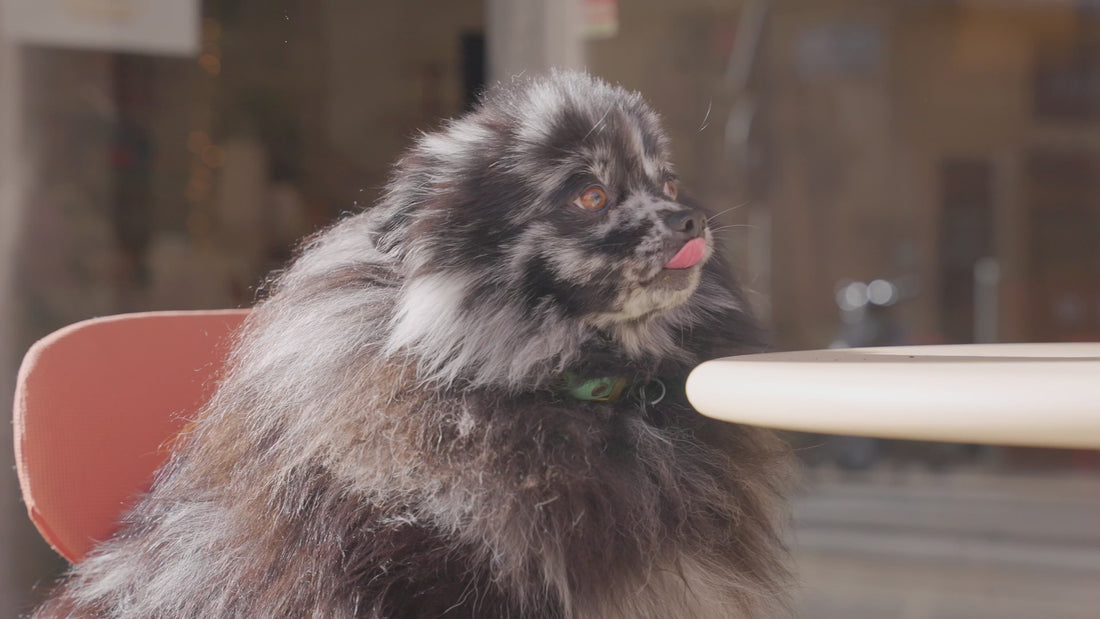 Francuskie wyroby cukiernicze Le Moelleux spokój i równowaga 100g