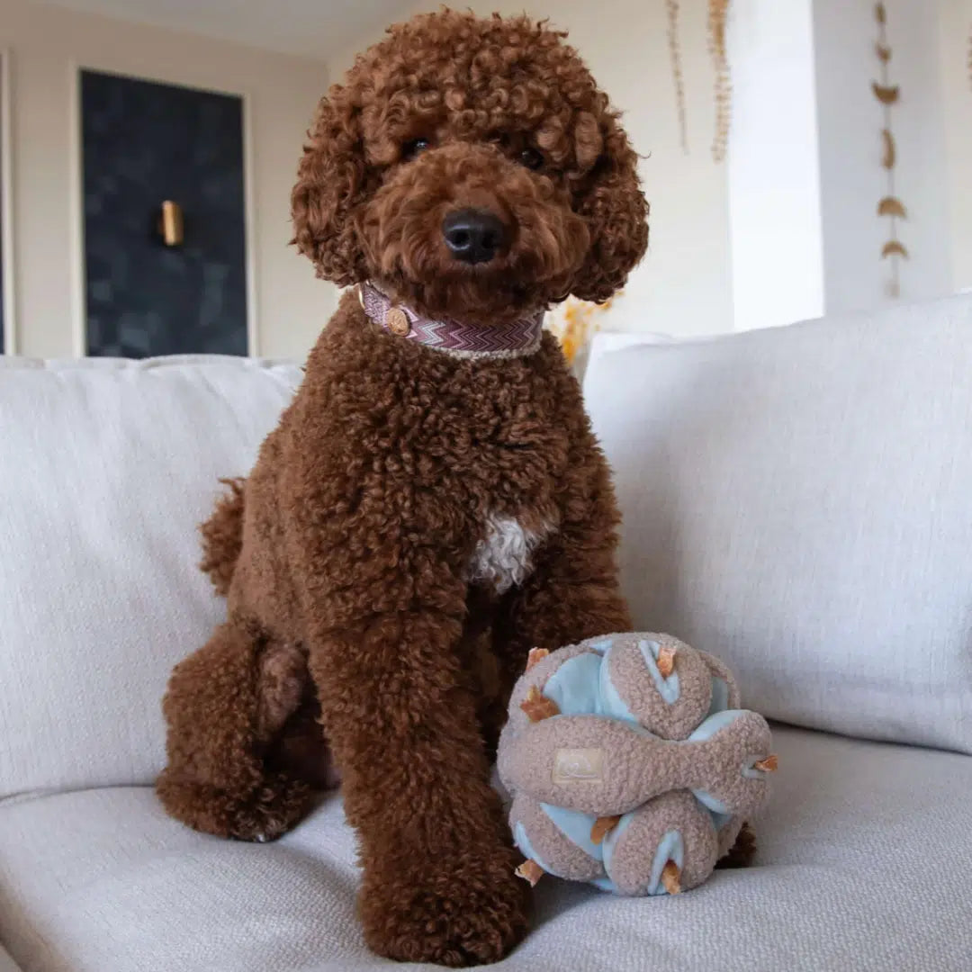 Floofs cookies - Knot Smell Toy Blue