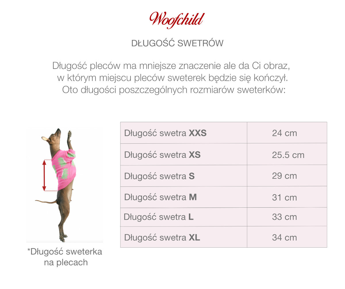 Czarny sweterek dla psa w misie