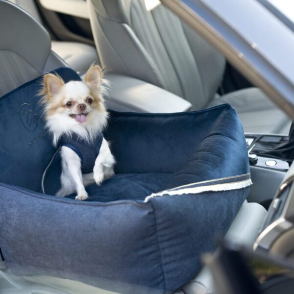 Pasy bezpieczeństwa dla psa do auta Allure
