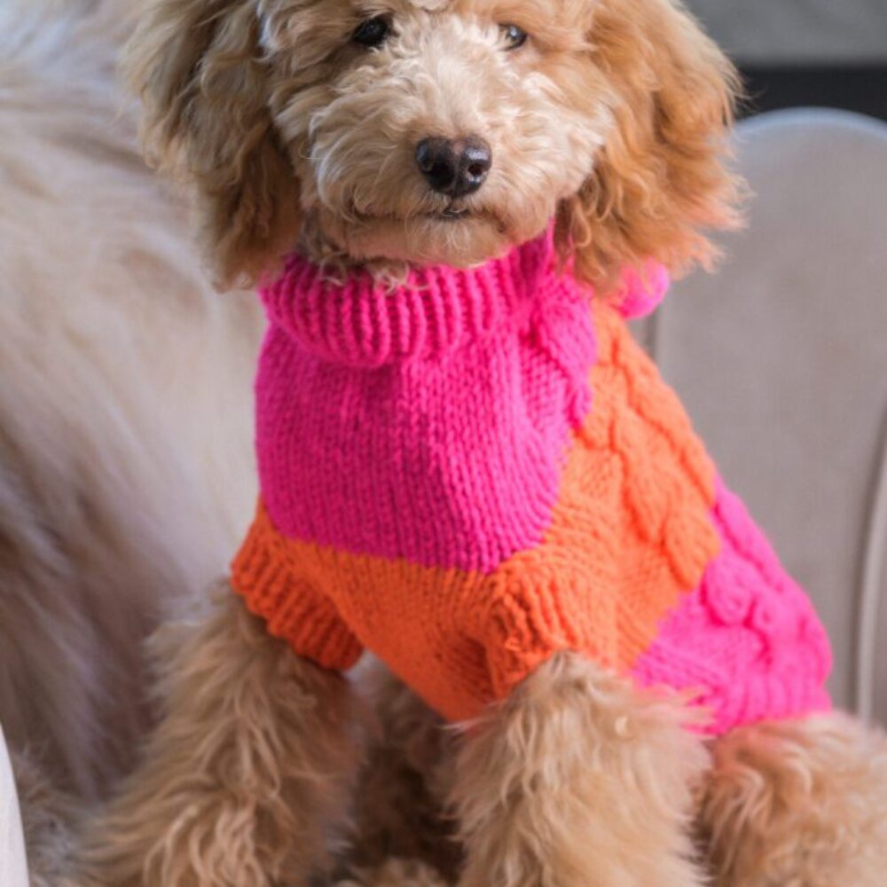 Sweterek dla psa NeonRush - Pomarańcz i róż