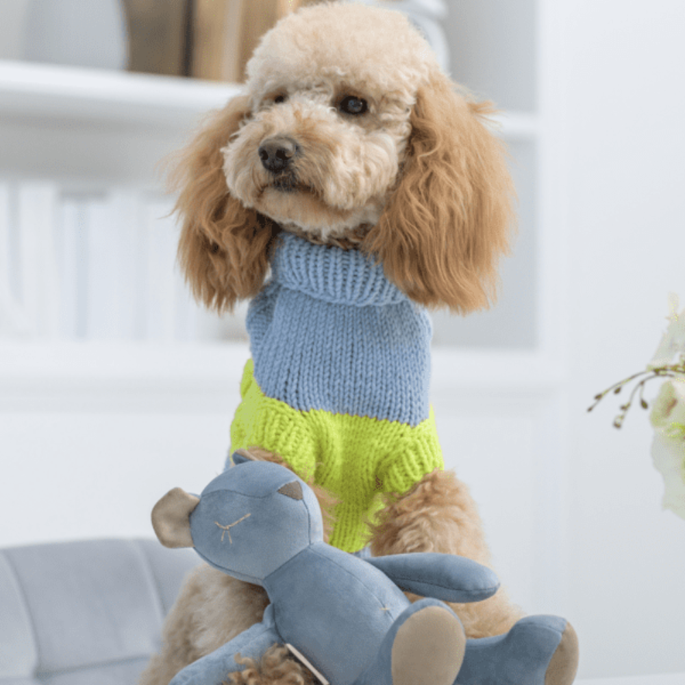 Sweterek dla psa Neon Rush, błękitny