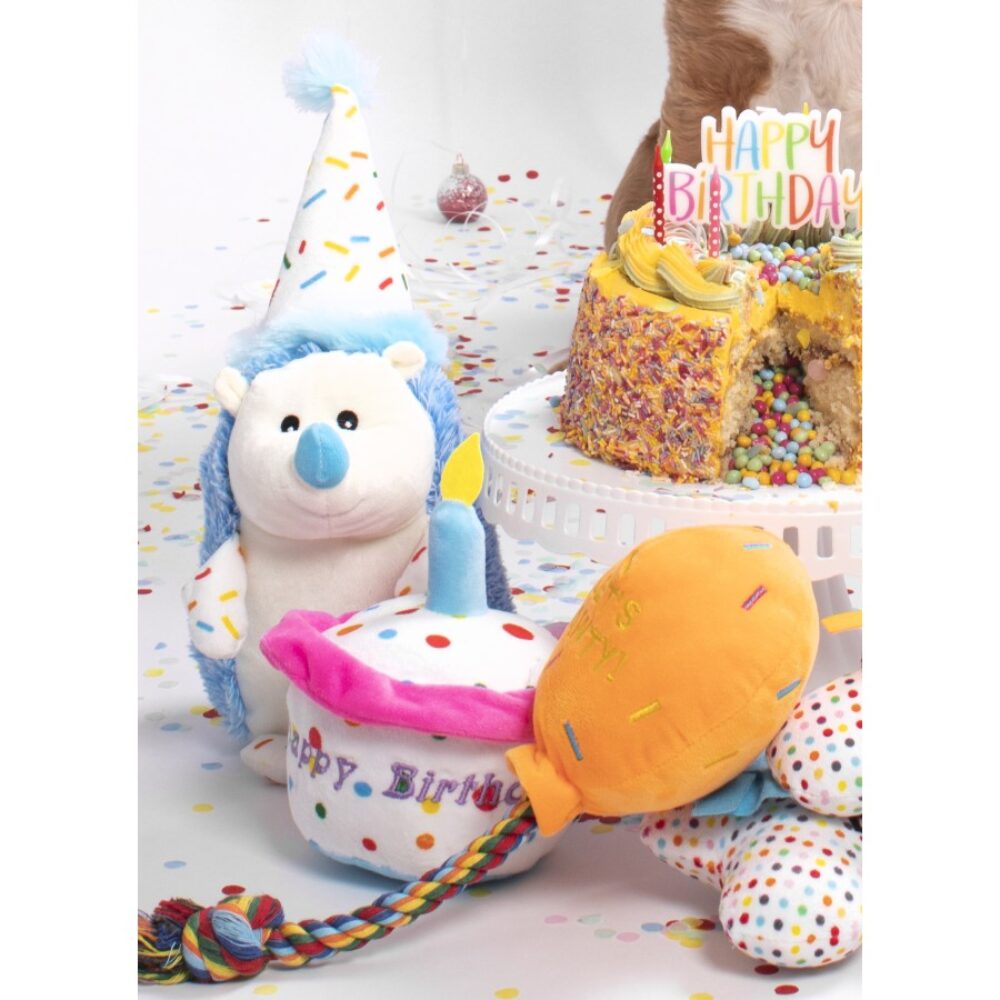 Urodzinowy pluszowy tort dla psa